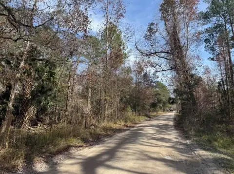 Citra, FL - 8 Acre Land