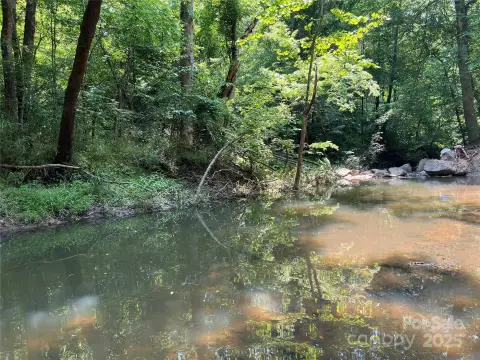 Waterfront Land on Mills Creek