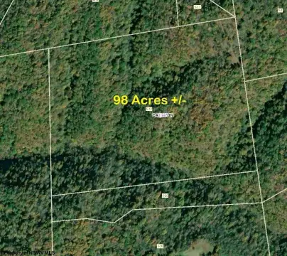 98 Acres Wooded Land