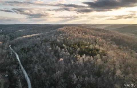 51 Acres Wooded Land