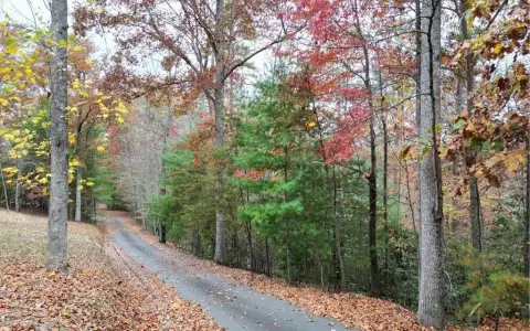 Wooded Land Near Lake Nottely