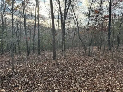 Mineral Bluff Buildable Lots