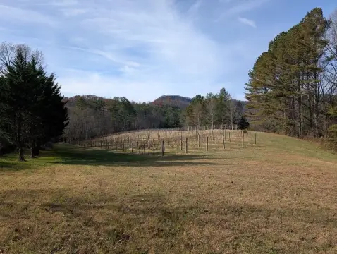 Hiawassee Vacant Land with Views