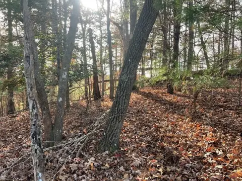 Residential Lot in Gated Resort