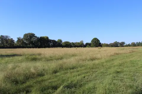 25 Acres in Jefferson, TX