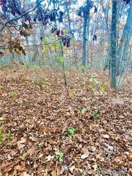 Land for Hunting and Recreation