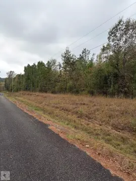 Wooded Acreage in Miller County
