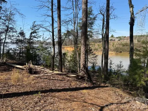 Waterfront Land Lot with Cove Views