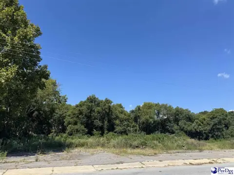 Flat Corner Commercial Land