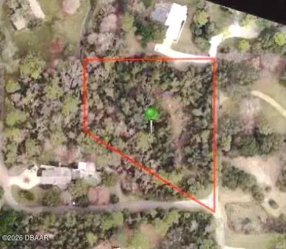 Ormond Beach Wooded Estate Lot