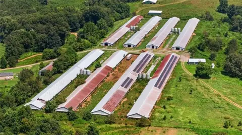 Commercial Egg Farm with Residence