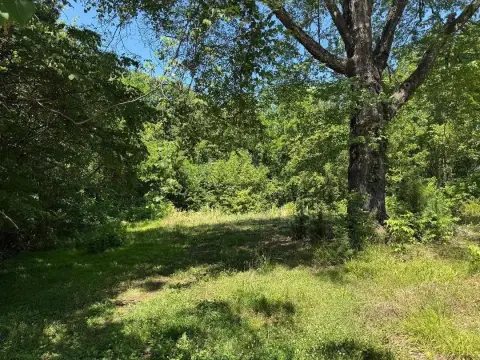 Residential Lot in Phenix, VA