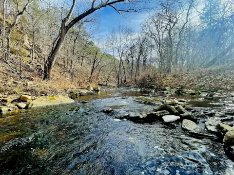 98 Acres Near Houston, MO