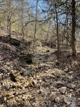 73 Acres of Forested Land