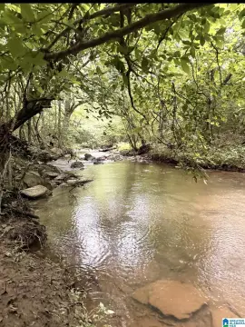 Waterfront Acreage with Creek