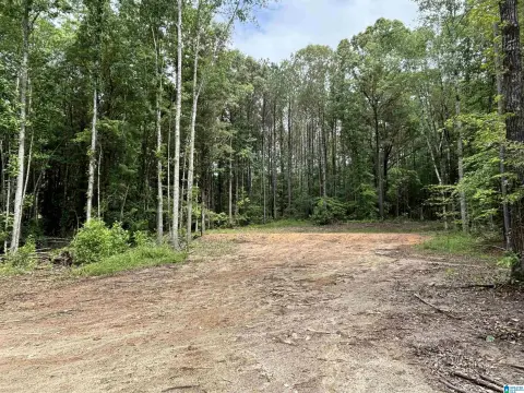 Unrestricted Residential Land Tract