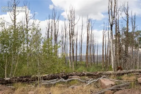 Mountain Land with Forest Access