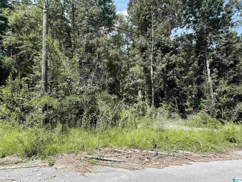 Land For Sale, Wilsonville, AL