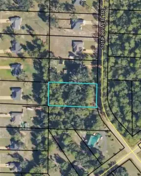 Residential Lot in Country Subdivision