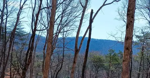 Blue Ridge Mountain View Lot