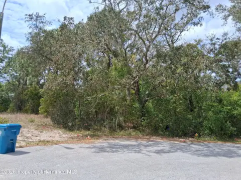 Waterfront Lot in Spring Hill