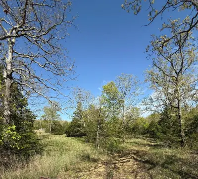 Salem, MO Vacant Land