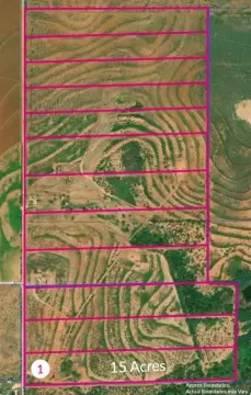 Spacious Land Tract Near Sweetwater