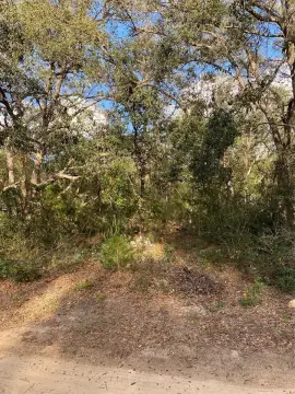 Land Near Lake Griffin