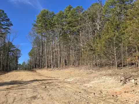 Wooded Land Parcel For Sale