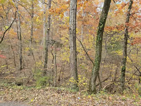 Wooded Lot Fronting Brushy Creek