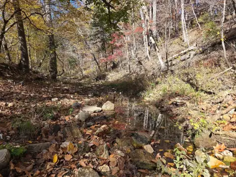 Wooded Land Near Brushy Creek