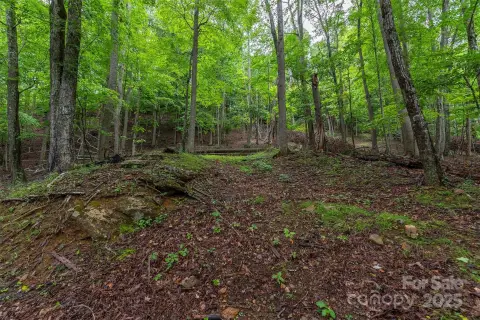 Homesite in Gated Mountain Community