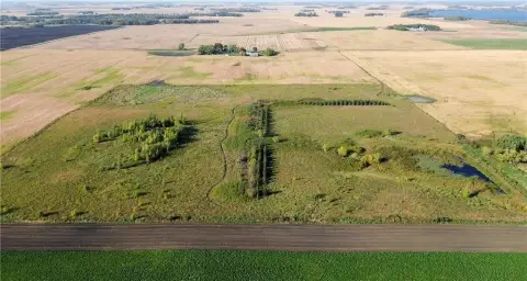 40 Acres of Agricultural Land