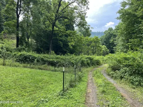 Mountain Residential Development Lots