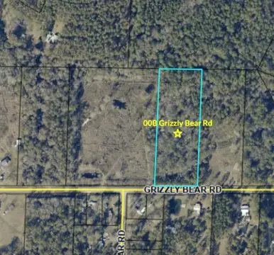 Undeveloped Land with Road Frontage