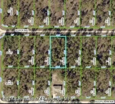 Cleared Lot in Weeki Wachee