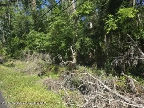 Brooksville Land Parcel on Fort Dade