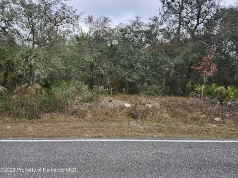 Residential Land in Brooksville, FL