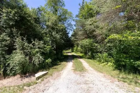 Vacant Recreational Homesite Land