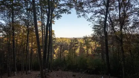 Ellijay, GA Vacant Lot