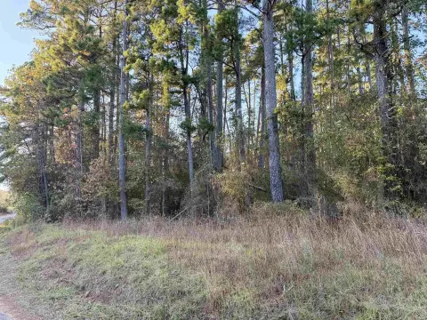 Wooded Lot in Gilmer, Texas