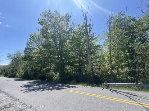 Land Parcel with Creek