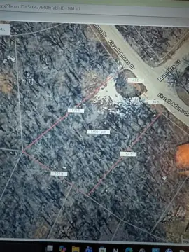 Runaway Bay Treed Lot