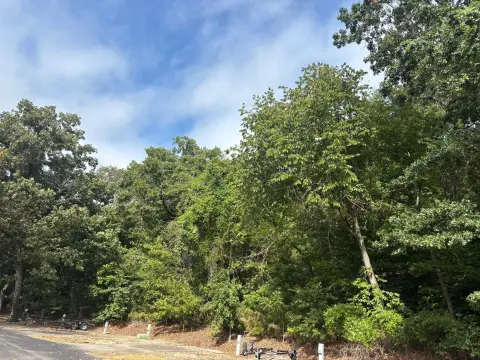 Branson Land with Lake Views