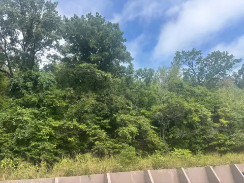 Land with Lake Taneycomo Views
