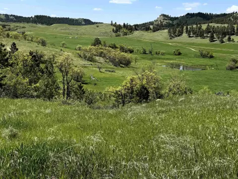 Wyoming Land with Creek Access