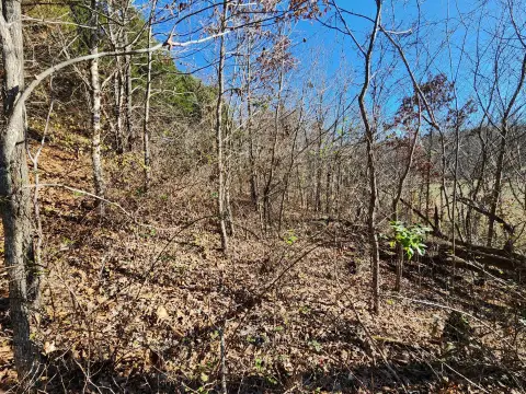 Residential Lot in Country Setting
