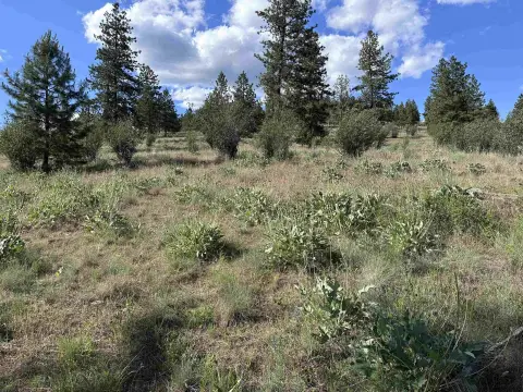 Deer Park Land with Views