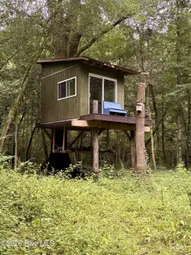 Recreational Hunting Land with Cabin