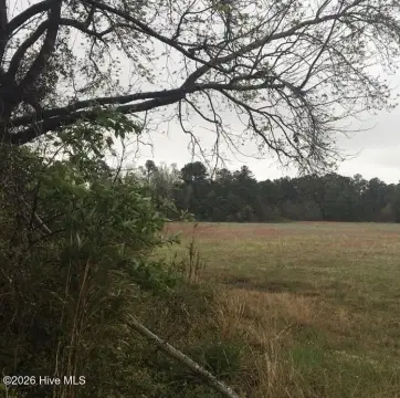 Waterfront Estate Land with Dock Potential